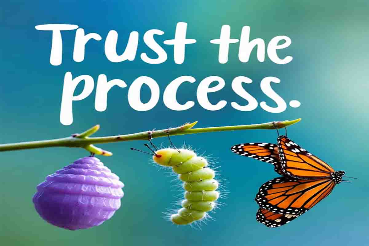 Learning support and tutoring guidance